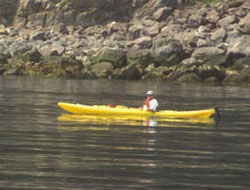 kayaking at 7-Days Work - Laurie Murison