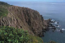 Southern Head cliffs - Laurie Murison